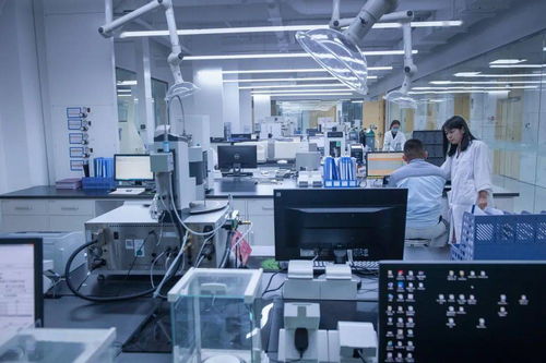 攝影師鏡頭下的dyetdz丨發(fā)展篇 生物基材料技術(shù)研發(fā)的光影記錄與未來藍(lán)圖